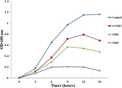 Antibiofilm Activities of Biogenic Silver Nanoparticles Against Candida albicans